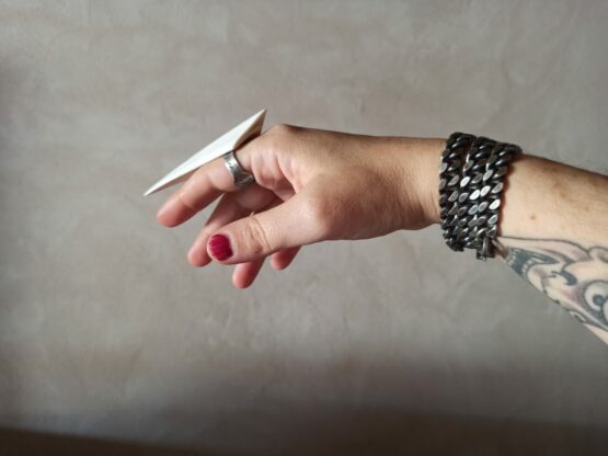 Anillo TOM - Imagen 2