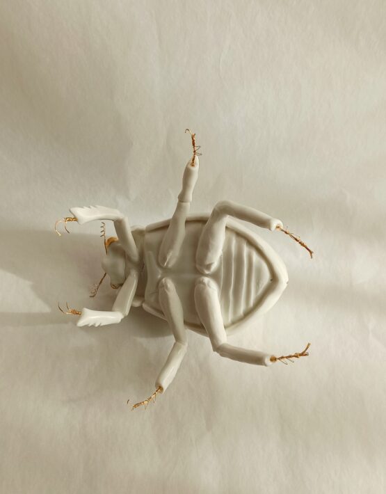Scarabaeus sacer escarabajo de porcelana - Imagen 2